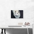 thumbnail image 2 of ARTCANVAS Ragdoll White Blue Eyes Home decor Canvas Art Print - Size: 18" x 12" (1.50" Deep), 2 of 9