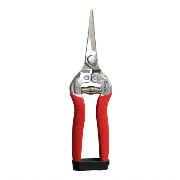 Corona Long Straight Snips - Stainless Steel, 1 Inch Nippers