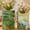 Claude Monet, variant on American Art Decor Vintage Vogue Magazine Ceramic Book Vase Set, 2pc Tabletop Vases for Bibliophiles & Fashionistas - Bookish Flower Vase for Book Lovers, Storage Organizer, Fall Decor Gifts
