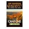 Jaw-Dropping Geography: Fun Learning Facts about Cool Canyons: Illustrated Fun Learning for Kids