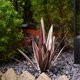 thumbnail image 1 of Large Tequila Rustic Sculpture, Rustic Metal Agave Plants for Outdoor Patio , Home Decor Hand Painted Metal Agave,H, 1 of 5