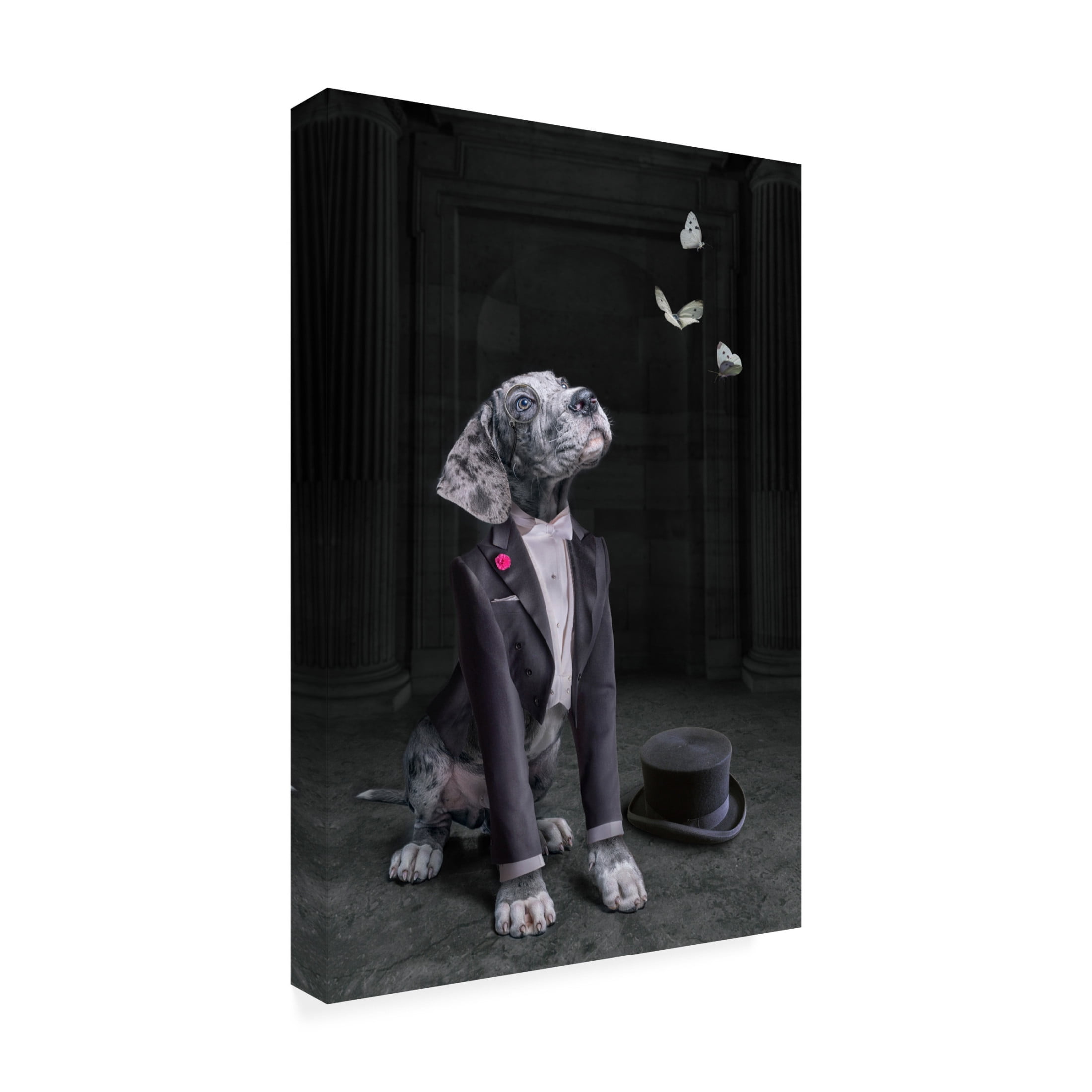 Trademark Fine Art Marcel Egger  LordDog Canvas Wall Art