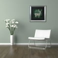 thumbnail image 4 of Trademark Fine Art "Emerald Deer" Canvas Art by Color Bakery Black Matte, Silver Frame, 4 of 4