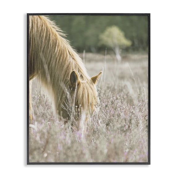 Stupell Industries Farmhouse Peaceful Palomino Horse Grazing Countryside Meadow Black Framed Giclee Art, 11 x 14, by Leah Straatsma