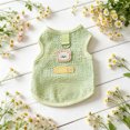 thumbnail image 4 of Breathable Mesh Dog Vest with D-Ring, Summer Cool Pet Clothes for Small Dogs & Cats, Lightweight Sleeveless Puppy Shirt with Cute Bear Print, Quick Dry Pet Harness Top for Yorkie, Chihuahua, 4 of 6