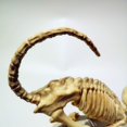 thumbnail image 4 of 1 paquete Re esqueleto gato esqueleto torre de Halloween accesorios de decoración, 4 of 5