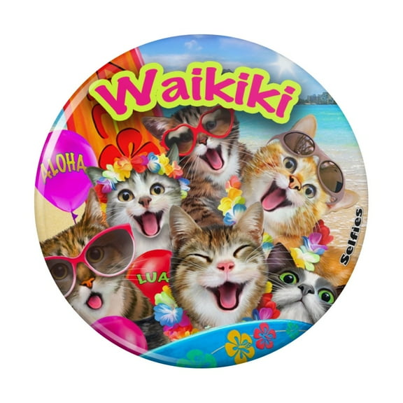 Waikiki Beach Cat Surf Selfie Honolulu Hawaii Kitchen Refrigerator Locker Button Magnet