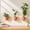 Terracotta, variant on Self-Watering Wall Planters Set of 6 - Lightweight Indoor Vertical Garden Planters - Easy to Install and Water - Stone Color