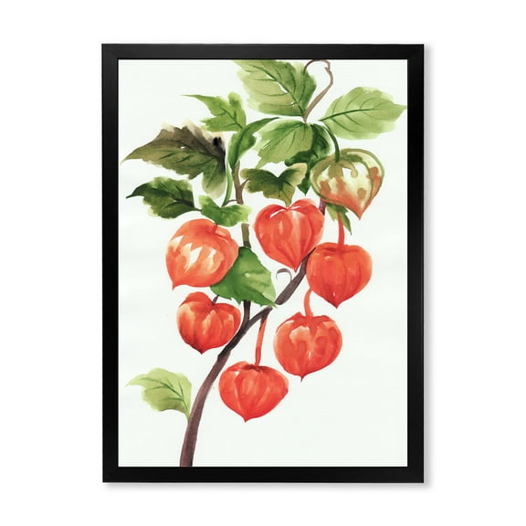 Designart 'A Red Physalis Branch' Traditional Framed Art Print