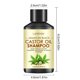 thumbnail image 2 of Ganfancp El Jengibre Nutre En Profundidad y Solidifica El Cabello Previene La Caída y Suaviza E Hidrata El Cabello 100Ml Liquidación 1* Acondicionador, 2 of 7