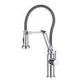 thumbnail image 2 of Blossom Pull Down Single Handle Kitchen Faucet, 2 of 3