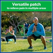 Salonpas Pain Relieving Patch, 20 Count (Pack of 1)