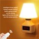 thumbnail image 4 of Injueey Reloj de luz nocturna, lámpara de pared para cabecera, luz nocturna blanca cálida con enchufe CN para pasillo, dormitorio, sala de Iluminación y accesorios Injueey HA021140-00, 4 of 6