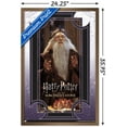 thumbnail image 3 of Harry Potter and the Sorcerer's Stone - Dumbledore Wise Wall Poster, 22.375" x 34", Framed, 3 of 3