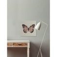 thumbnail image 5 of MARMONT HILL  - Handmade Pink and Black Butterfly II Floater Framed Print on Canvas 16 x 16, 5 of 5