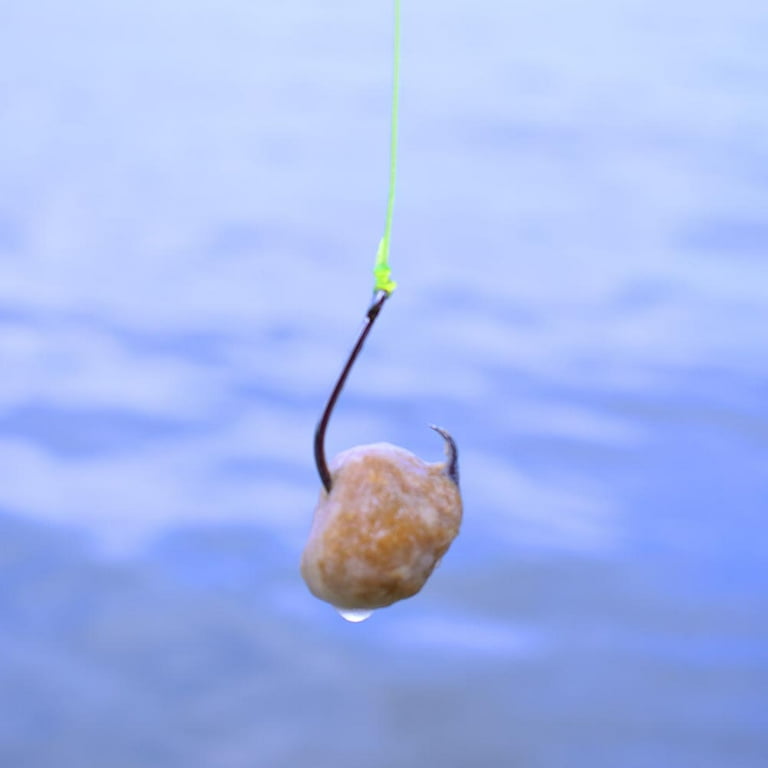 Hameçons Cercle Double Action Team Catfish 4/0 (5x0) – Lot De 4, Argent, Pour Pêche Au Silure Ou Poisson-chat