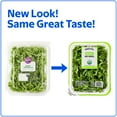 thumbnail image 2 of Marketside Organic Baby Arugula Salad, 5 oz Clam Shell (Fresh), 2 of 8
