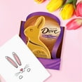 thumbnail image 6 of Dove Easter Bunny Dark Chocolate Candy Gift - 4.5 oz, 6 of 12