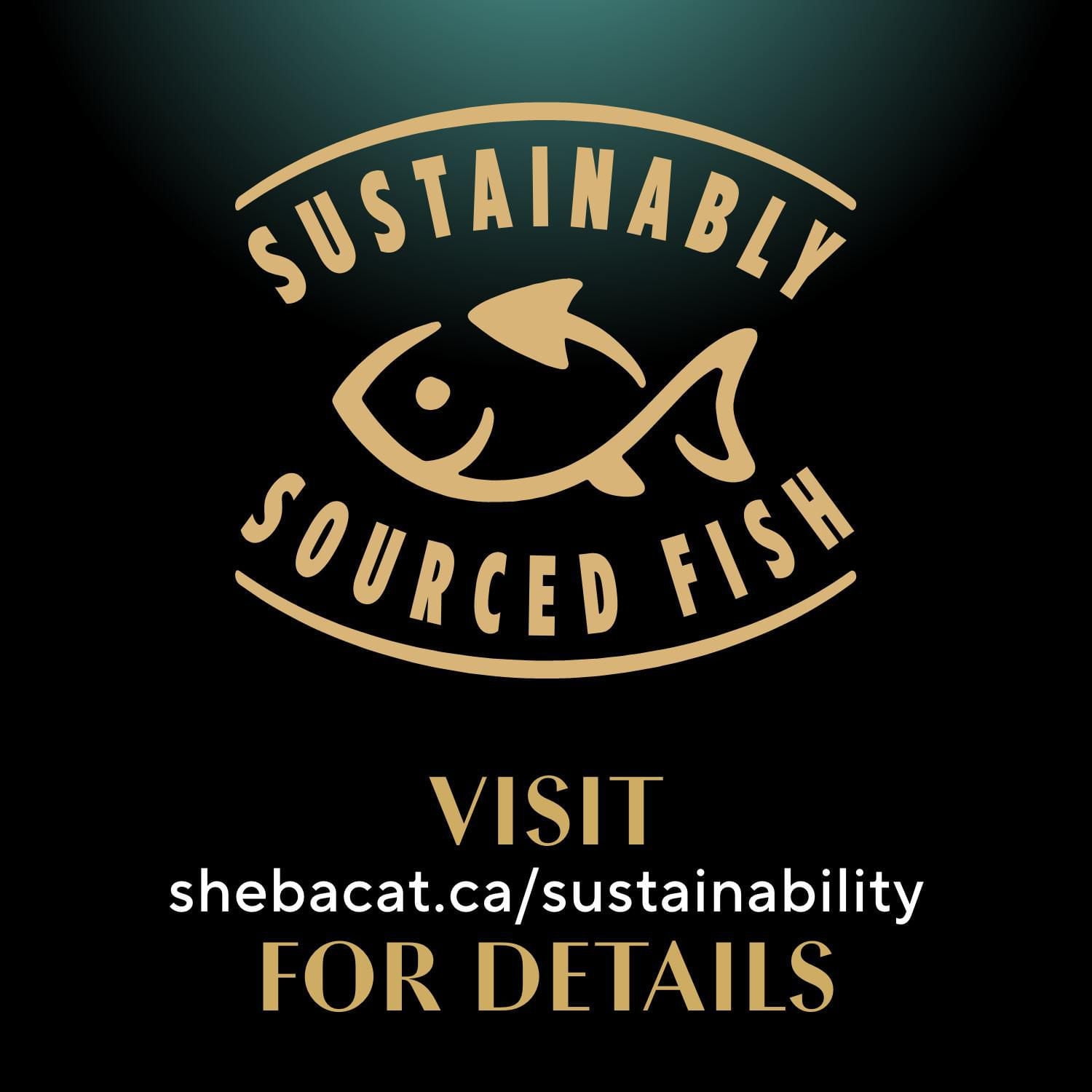 SHEBA GRAVY INDULGENCE PERFECT PORTIONS Adult Wet Cat Food Chicken & Beef & Salmon Entrée in Extra Gravy Variety Pack, 24x75g