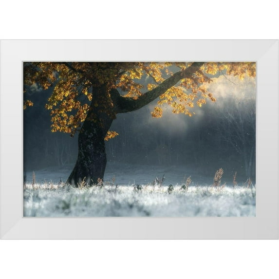 Saowanee, Suntararak 24x17 White Modern Wood Framed Museum Art Print Titled - Morning breath