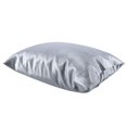 thumbnail image 1 of Sleepgram Pillowcase-Gray-Queen/Standard Size Silk Pilllowcase, Platinum, 1 of 9