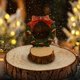 thumbnail image 5 of Ganfancp Adornos de Madera Brasileña Decoración Navideña Resina Pequeños Adornos Navideños Micro Nieve Escenario Plugin Regalo Ofertas Del Día Adorno Navideño de Madera de Brasil*1, 5 of 6