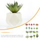 thumbnail image 3 of Hytrove 18Ud Planta Artificial En Varas Para Del Hogar Con Material PVC Duradero, 3 of 6