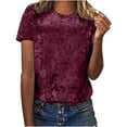 thumbnail image 2 of Babysbule Womens New Arrival Summer Tops Women's Crew Neck Velvet Tops Short Sleeve T-Shirt Casual Fashion Blouse, 2 of 8