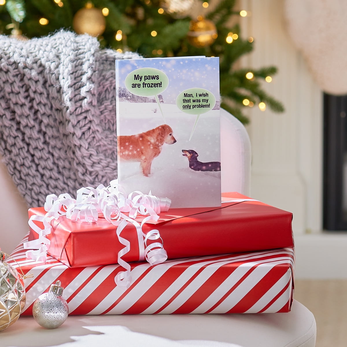 American Greetings Funny Christmas Greeting Card for Anyone, (Warm Wishes)