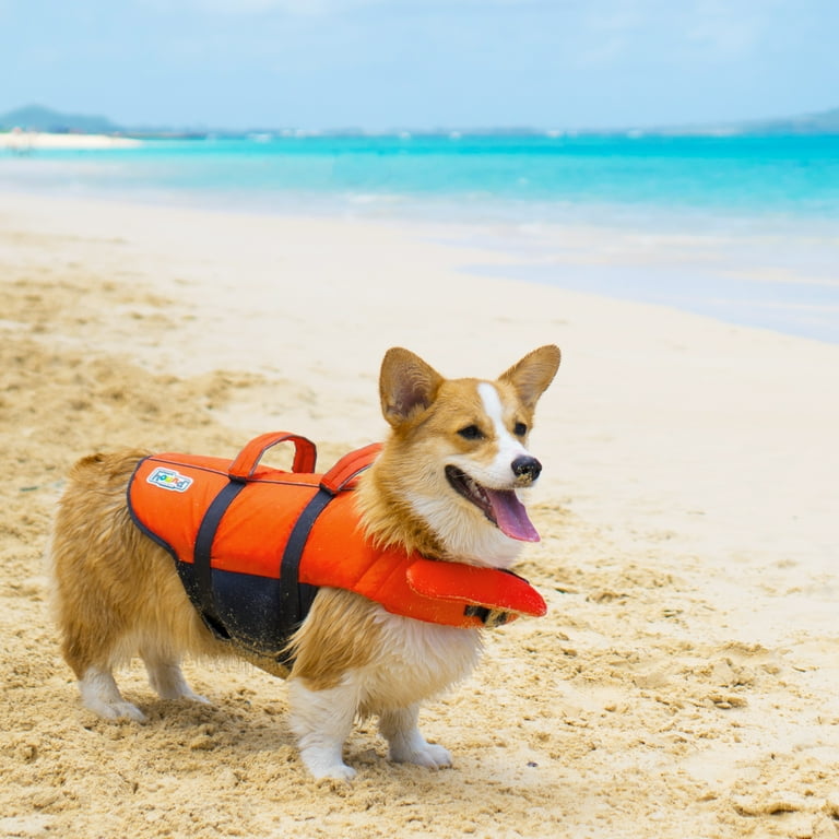 Outward Hound Granby Splash Dog Life Jacket Orange Small