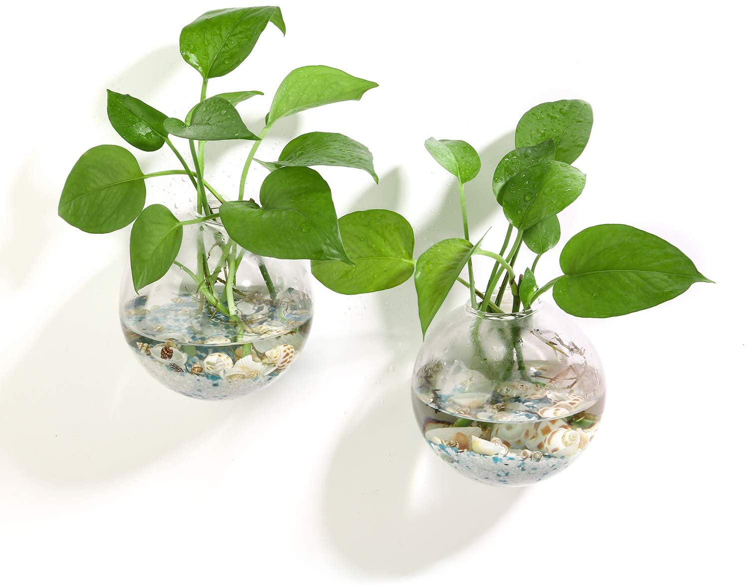 Glass Hydroponic Flower Vase Pot Fairy Garden DIY Container Candlestick 12cm 