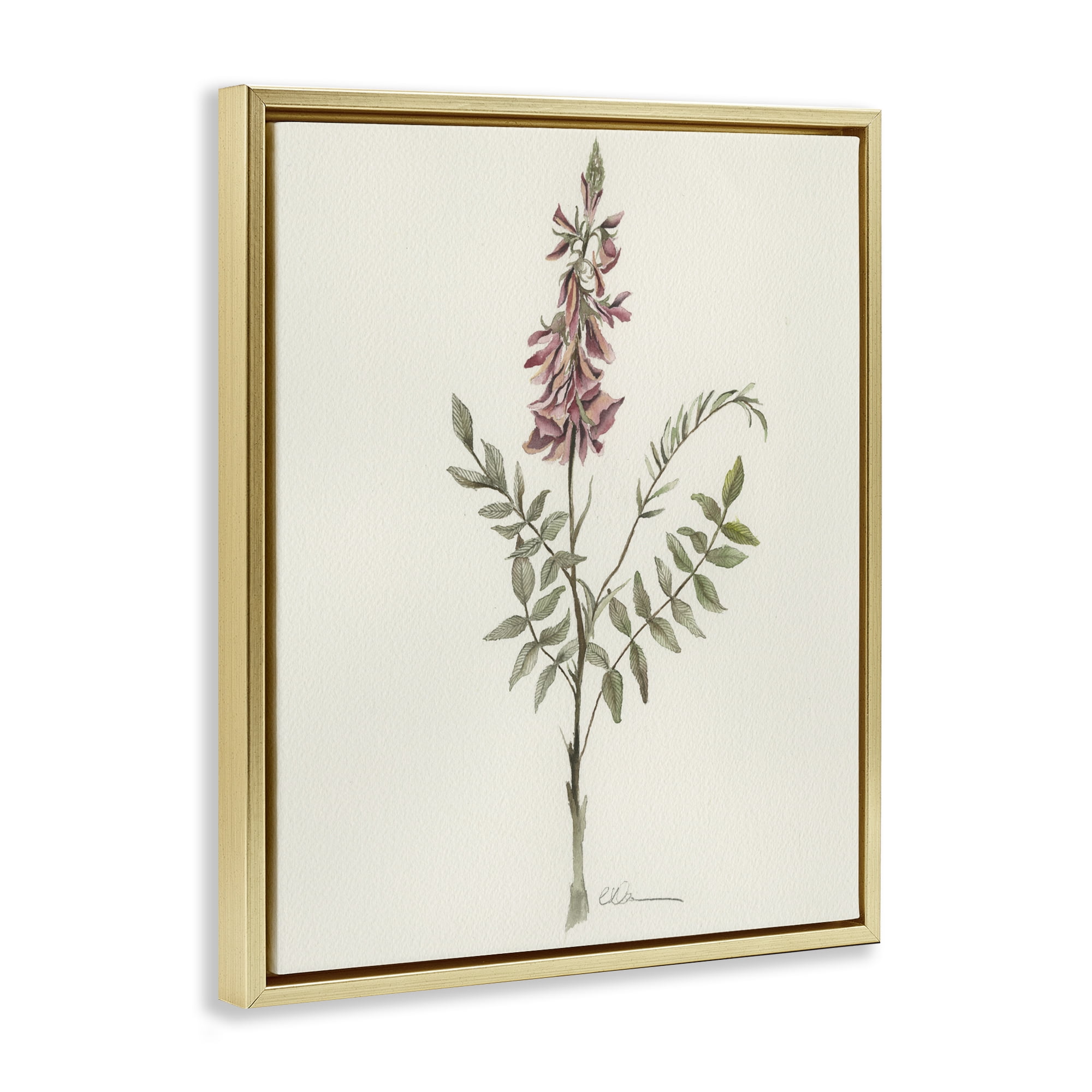 Stupell Industries Nature's Delicate Herb Sprig Gold Framed Floater Canvas Wall Art, design by Cady Driver
