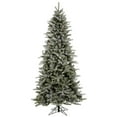thumbnail image 1 of Vickerman 18101 - 4.5' x 34" Frosted Frasier Fir 250 Italian LED Multi-Color Lights Christmas Tree (A101047LED), 1 of 1