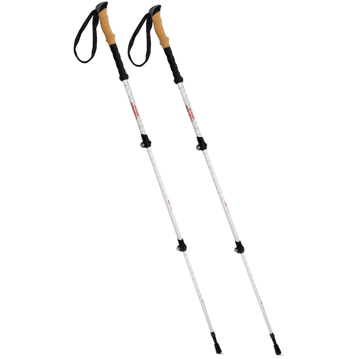cascade mountain walking sticks