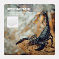 thumbnail image 3 of RENACLIPY 1Pc Breeding Box for Reptile Simple Design Reptiles Rearing Box for Home Use, 3 of 6