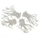thumbnail image 1 of Clips para zapatos de novia, Material de vidrio / esmalte Linterna Cadena de borlas Inodoro Antiarrugas y antidesgaste Clips para zapatos duraderos, Regalos Ropa para zapatos Hogar LHCER 1, 1 of 8