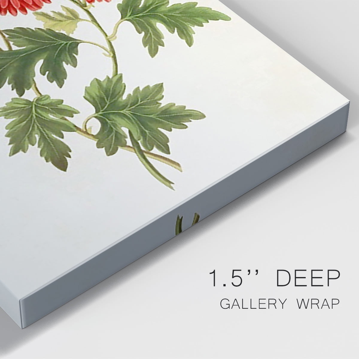 Flowers of the Seasons I Premium Gallery Wrapped Canvas - Ready to Hang