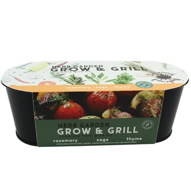Buzzy Grilling Herb Garden Windowsill Grow Kit
