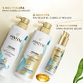 thumbnail image 5 of Shampoo Equilibrante Pantene Pro-V Miracles Equilibrio Raíz y Puntas 510 ml, 5 of 5