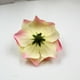 thumbnail image 5 of Cabeza de rosa de flor de tela de seda artificial DIY hecha a mano pequeña flor caja de dulces de boda decoración flor falsa decoración del hogar, 5 of 6