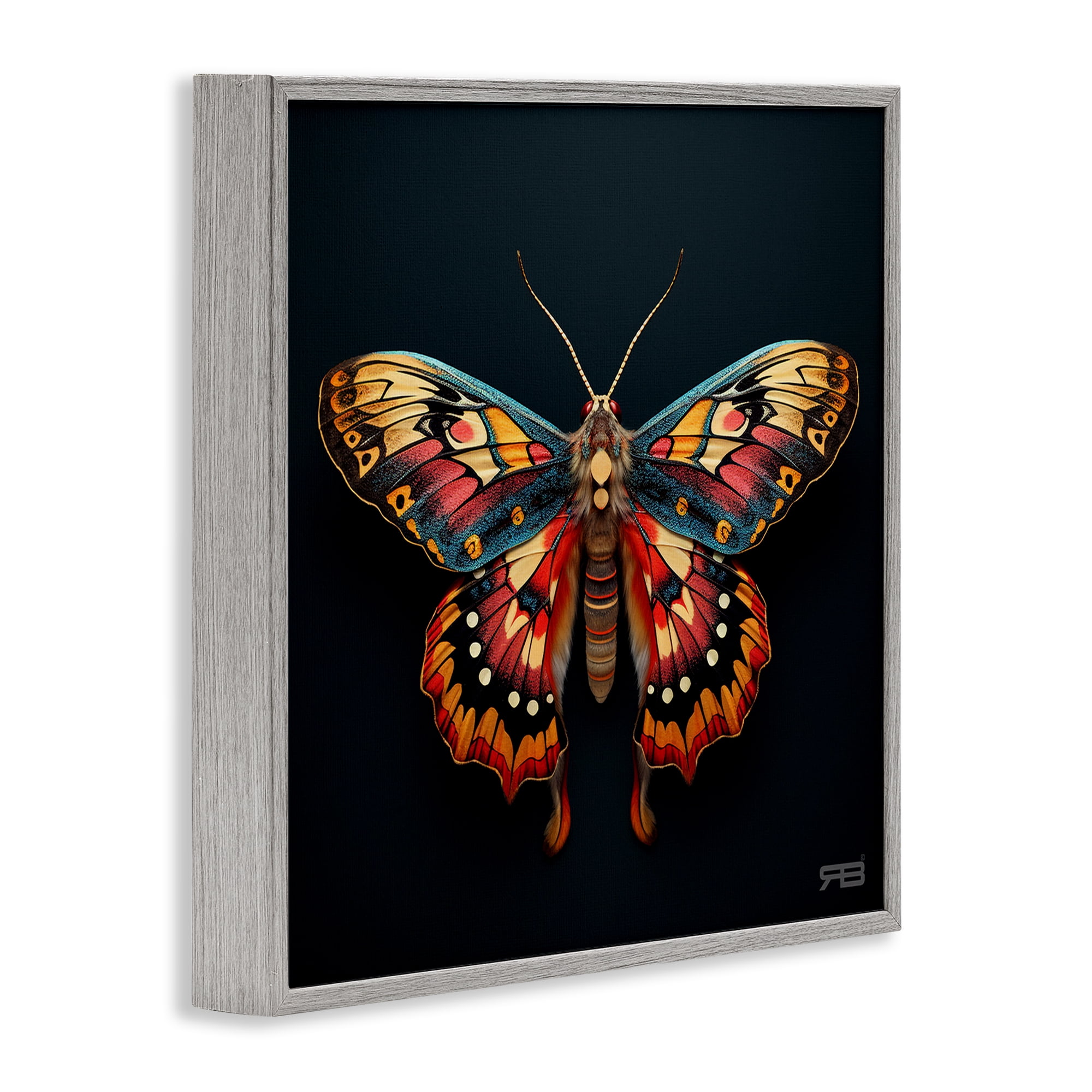 Stupell Industries Vivid Patterned Moth Animals & Insects Painting Gray Framed Art Print Wall Art, 24 x 24