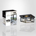 thumbnail image 3 of Xtricity - 4-Light Ceiling Light, 11.8'' Width, From the Panama Collection, Black, 3 of 3