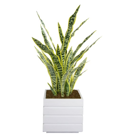 Artificial Faux Real Touch 3.5 Feet Tall Agave With Planter