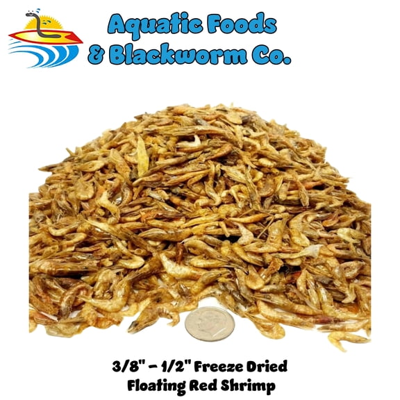 Red River Shrimp, Freeze Dried 3/8" to 1/2" Shrimp for Cichlids, All Tropical Fish, Pond Fish, Aquatic Turtles, Reptiles, Rodents - 1/8-lb