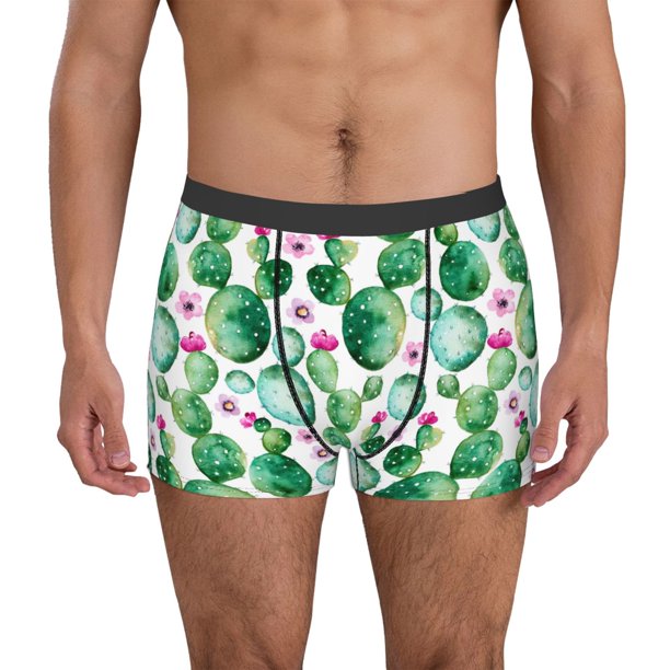 Balery Cactus Plants Calzoncillos bóxer para hombre, ropa interior de algodón suave y transpirable con cinturilla de nailon-Medium