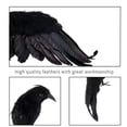 thumbnail image 2 of 2PCS Black Lifesize Raven Movie Prop Fake Crow Halloween Hunting Decor Birds, 2 of 5