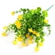 thumbnail image 1 of Bearachild Flores artificiales colgantes de pared de plantas de plástico para exteriores, tamaño compacto, ahorro de espacio funcional, decoración del Decoración Amarillo Bearachild HA070461-04, 1 of 6