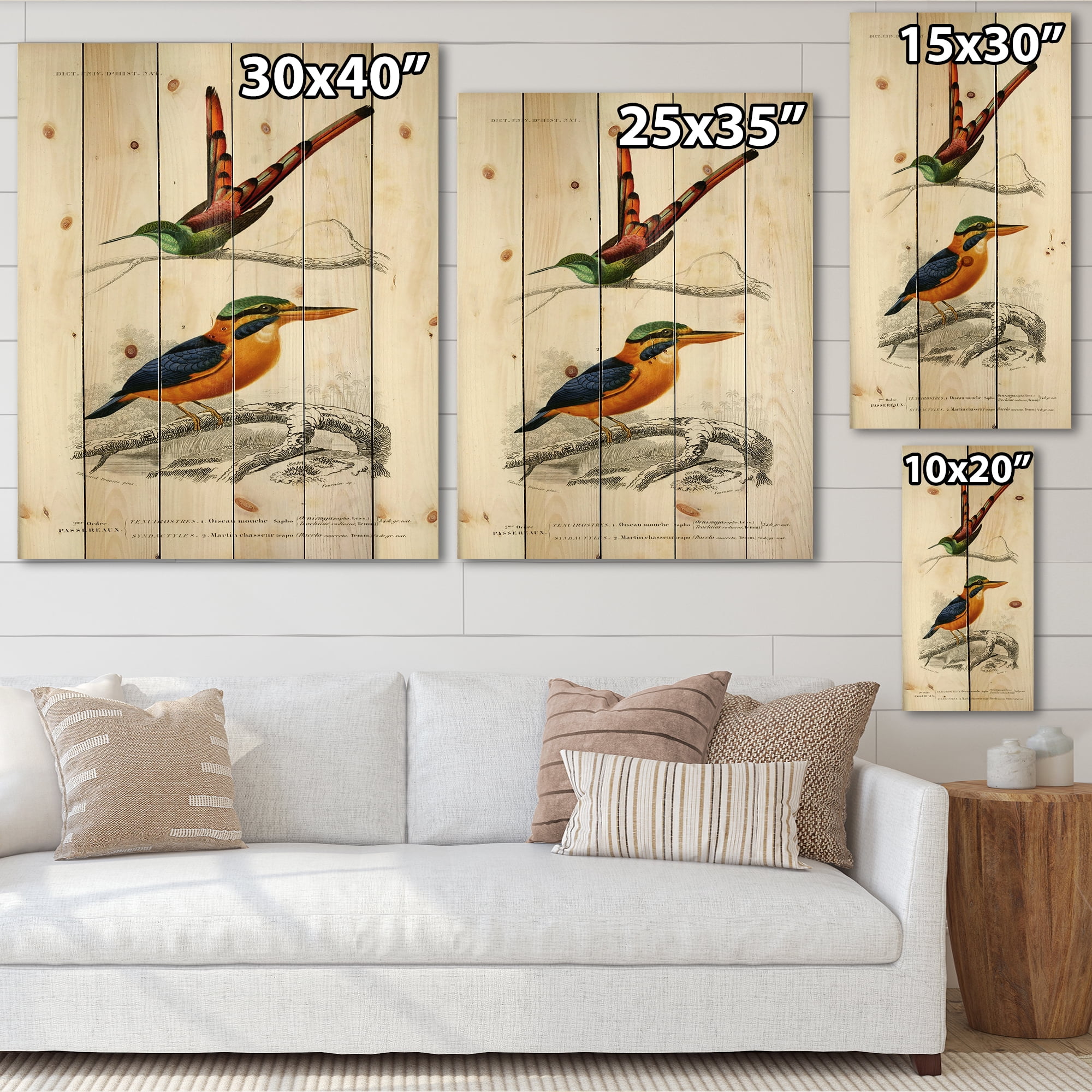 Designart 'Ancient Bird I' Traditional Print on Natural Pine Wood