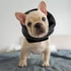 thumbnail image 5 of Funda calmante para orejas de perro, sudadera con capucha para cachorros, para aseo y secado forzado, manga para la cabeza Negro S, 5 of 8
