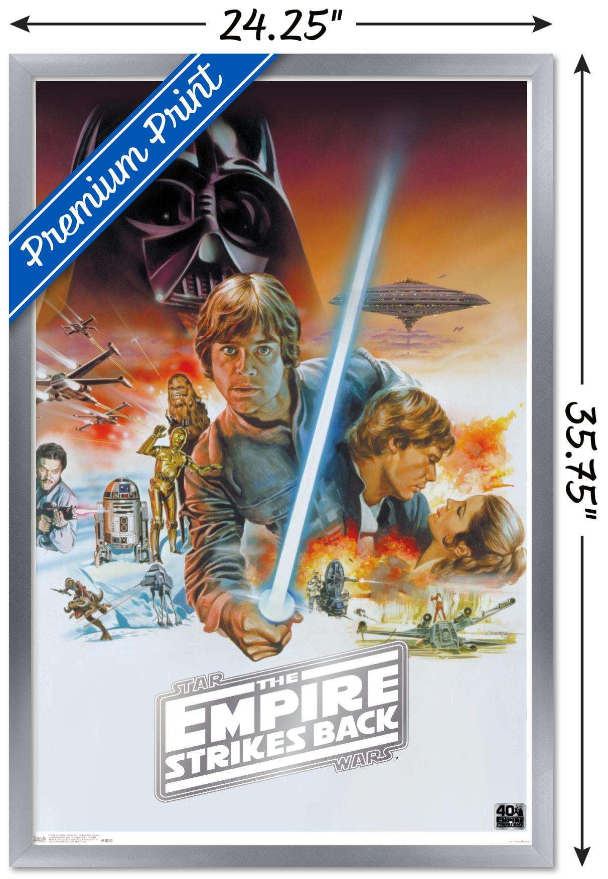 Star Wars: The Empire Strikes Back 40th - Scenic Wall Poster, 22.375" x 34", Framed